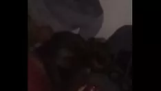 تشغيل شفط مكسيكي عدد 2 صمغ أسود اللون نيويورك