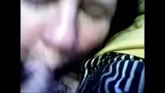 Afspelen Marzia kjlar gladde koe