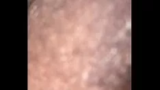 alimentación bbw kittycat