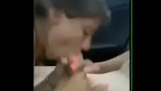 Abspielen Cogida en el carro
