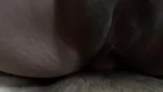 Reproduzir Casar com o velho alarde