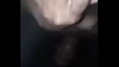 تشغيل أنثى الكلب