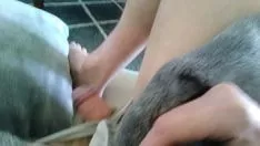 تشغيل تسجيل فيديو الإثبات