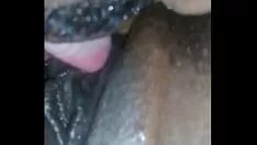 تشغيل خشب الأبنوس الحمار كبيرة