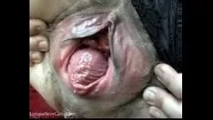Redare Tabby de fisting strâns 103