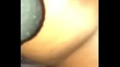 تشغيل تخمير المنزل