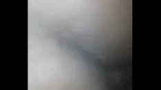 تشغيل شجرة خشب الأبنوس